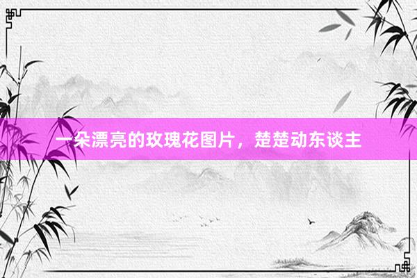 一朵漂亮的玫瑰花图片，楚楚动东谈主